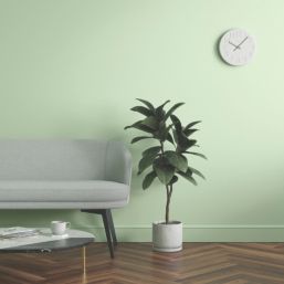 LickPro Max+ 5Ltr Green 13 Matt Emulsion  Paint