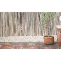 Apollo Bamboo Garden Screen 4m x 2m