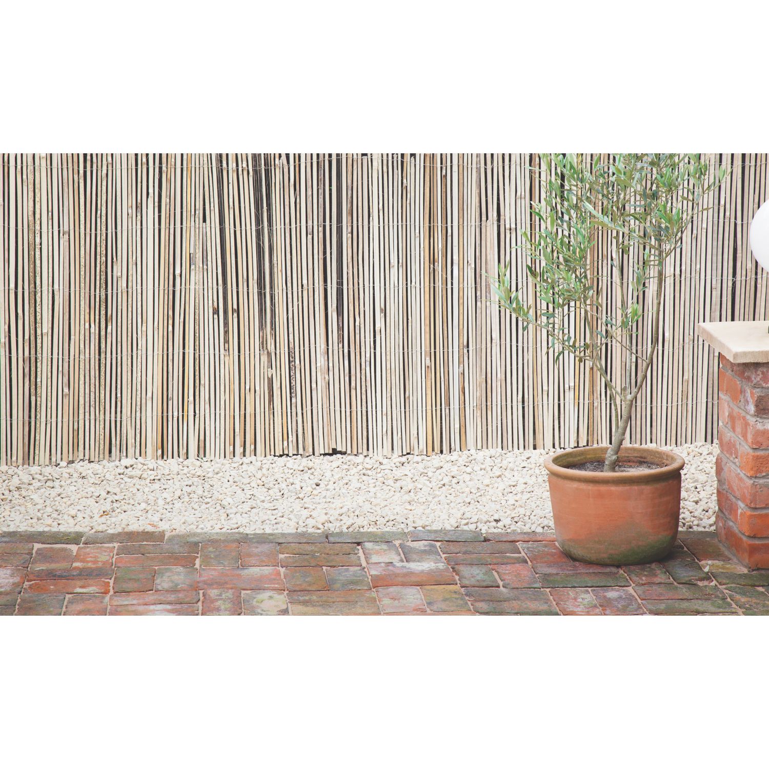Apollo Bamboo Garden Screen 4m x 2m (5339K)