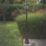 Lutec London 2270mm Solar-Powered LED Post Light Matt Black 6W 300lm