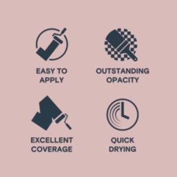 LickPro  2.5Ltr Pink 05 Vinyl Matt Emulsion  Paint