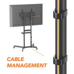 AVF APTC6100 Height Adjustable Mobile TV Cart Black