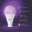 Calex Vista Tones B22 A60 Multi Colour LED Light Bulb 8.5W