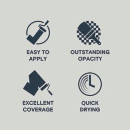 LickPro  5Ltr Grey 01 Vinyl Matt Emulsion  Paint