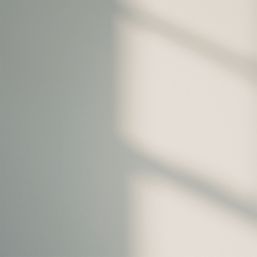 LickPro  5Ltr Grey 01 Vinyl Matt Emulsion  Paint