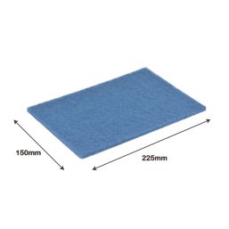 Essentials Scouring Pads 15cm x 22.5cm 10 Pack