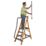 Werner Fibreglass 1.7m 4 Step Platform Step Ladder With Handrail