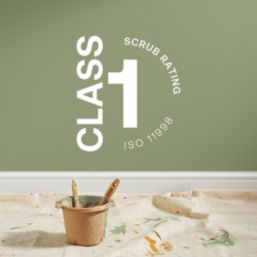 LickPro Max+ 1Ltr Green 18 Matt Emulsion  Paint