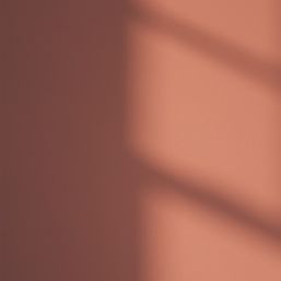 LickPro  2.5Ltr Red 01 Vinyl Matt Emulsion  Paint