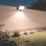 LAP Weyburn Outdoor LED Floodlight With PIR Sensor Black 100W 14,800lm