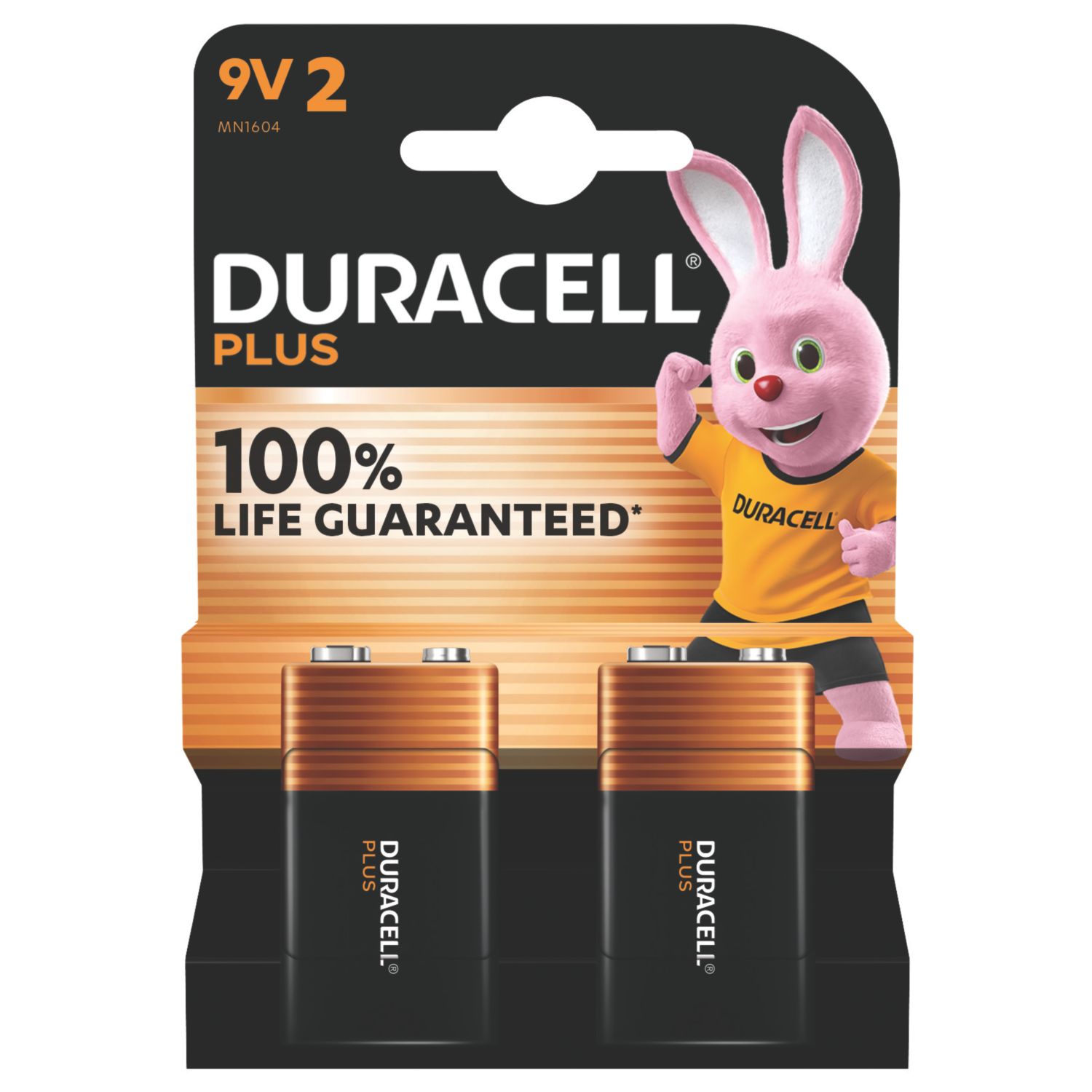 Duracell 9V Alkaline Battery 2 Pack (550CP)
