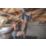 Metabo Combo Set 2.8.6 (685198000) 18V 2 x 2.0 / 4.0Ah Lithium CAS Brushless Cordless Combi Drill & Impact Driver Twin Pack