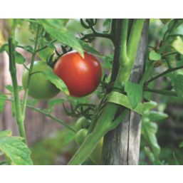 Velcro Brand One-Wrap Green Plant Ties 5m x 12mm