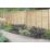 Forest Super Lap  Fence Panels Natural Timber 6' x 6' Pack of 10