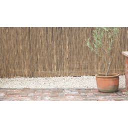 Apollo Reed Garden Screen 4m x 2m
