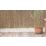 Apollo Reed Garden Screen 4m x 2m