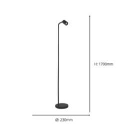 Eglo Carlo Floor Lamp Black