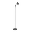 Eglo Carlo Floor Lamp Black