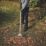 Magnusson  Leaf Rake 460mm