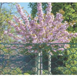 Apollo 25mm PVC-Coated Wire Netting 1m x 10m