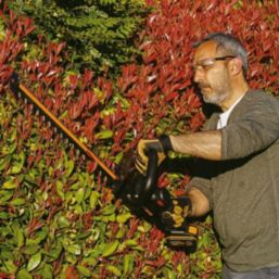 Worx cordless hedge online trimmer