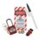 Di-Log Entry Level Lockout & Tag Kit