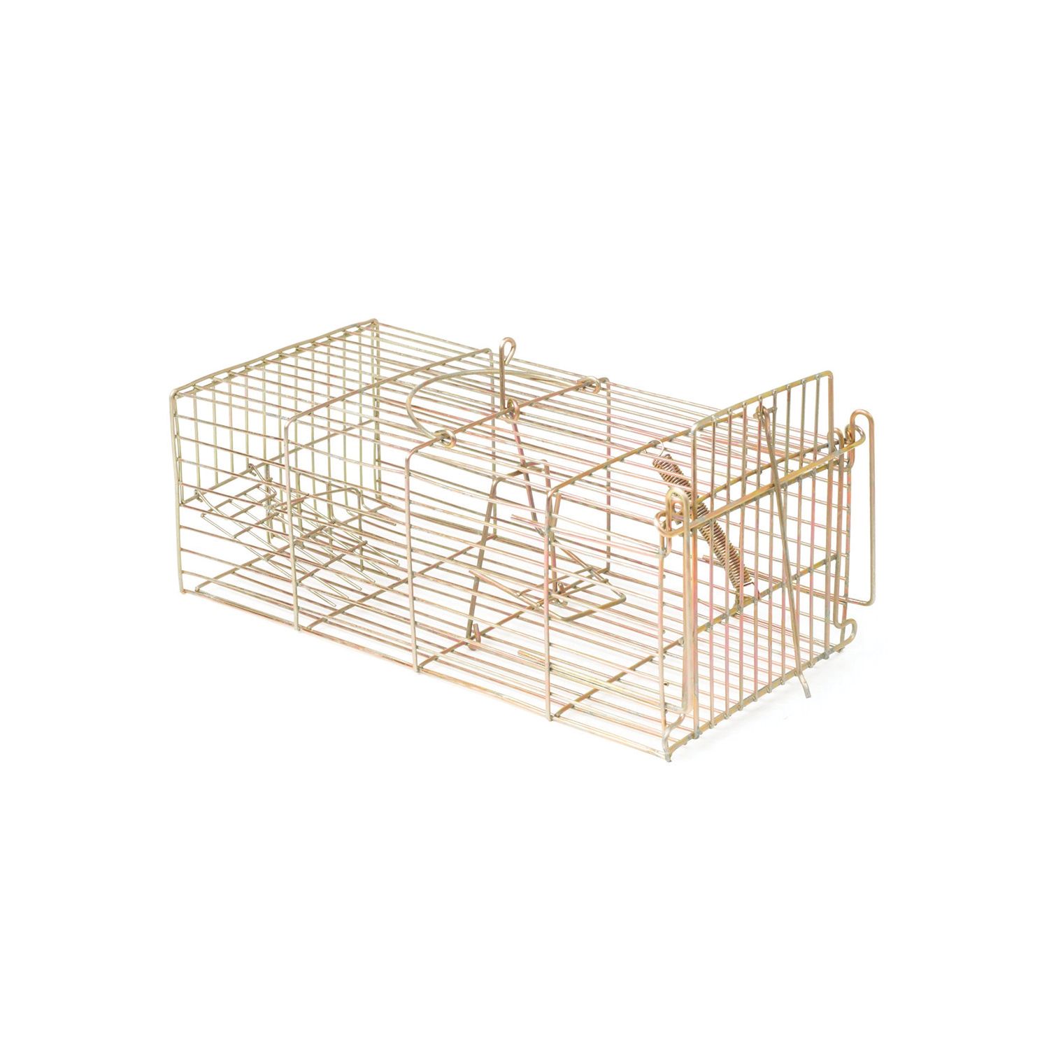 Racan Rat Cage Trap (564AU)
