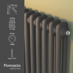 Flomasta 600mm x 1010mm 3533BTU Anthracite Horizontal 2 Column Radiator