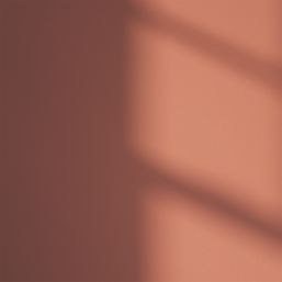 LickPro Max+ 1Ltr Red 01 Matt Emulsion  Paint