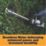 Titan  TTT1210GHT 65cm 36V 1 x 4.0Ah Li-Ion TXP Brushless Cordless Hedge Trimmer