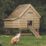 Rowlinson  5' x 6' 6" (Nominal) Timber Chicken Coop