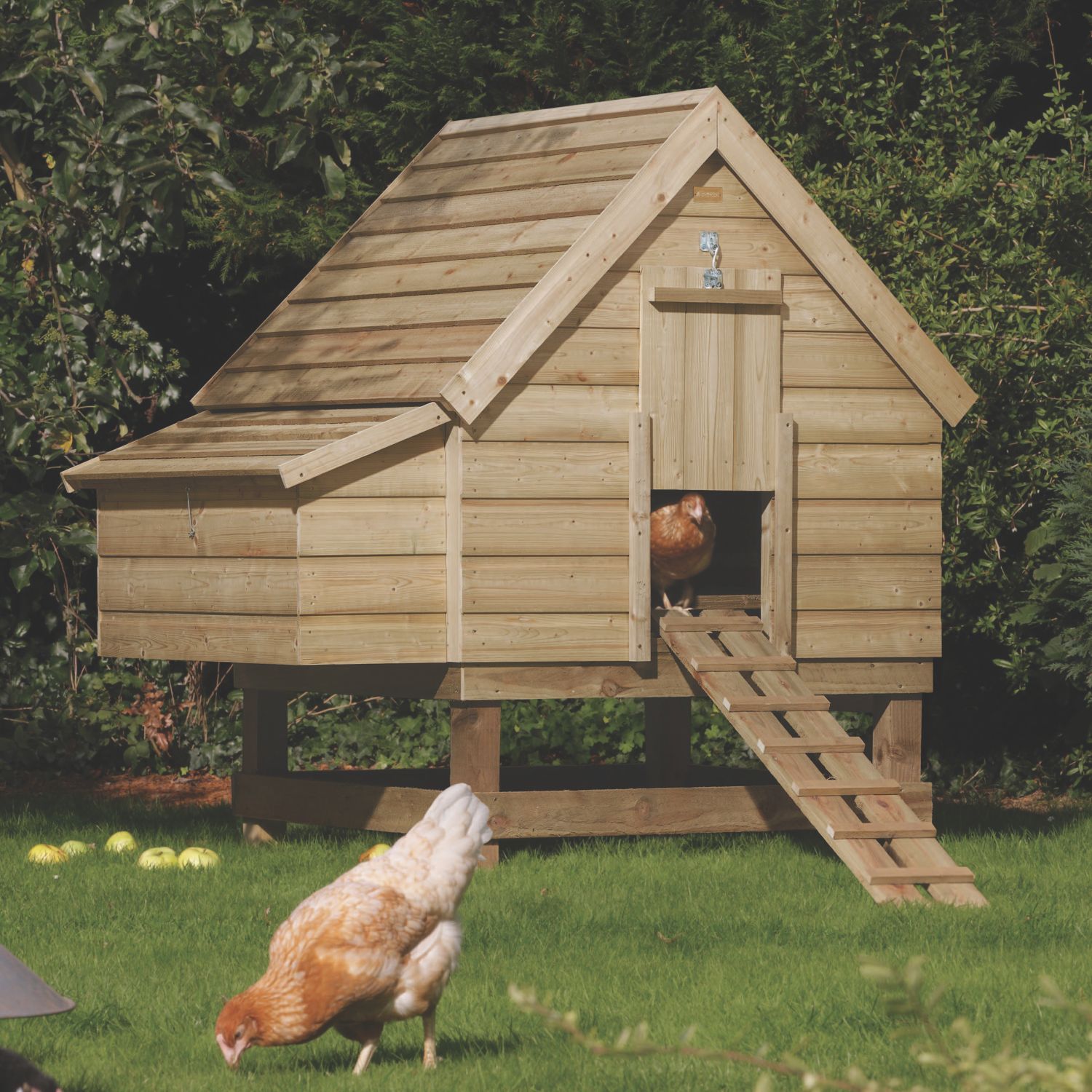 Rowlinson 5' x 6' 6" (Nominal) Timber Chicken Coop (580JG)