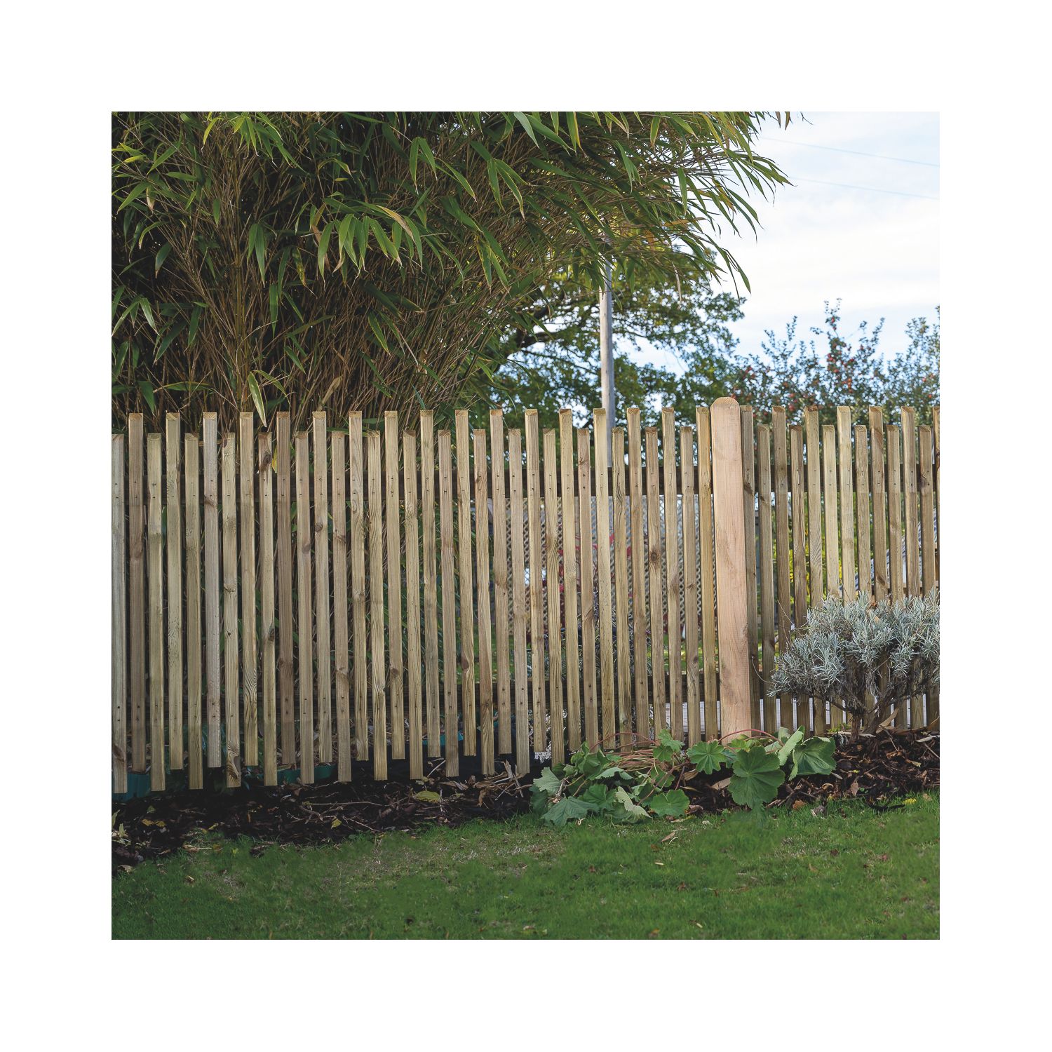 Forest Picket Slatted Top Fence Panels Natural Timber 6' x 3' Pack of 5 (581JN)