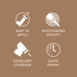 LickPro  5Ltr Brown 02 Vinyl Matt Emulsion  Paint