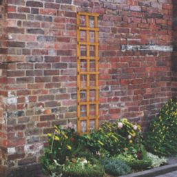 Forest  Softwood Rectangular Trellis 1' x 6' 10 Pack
