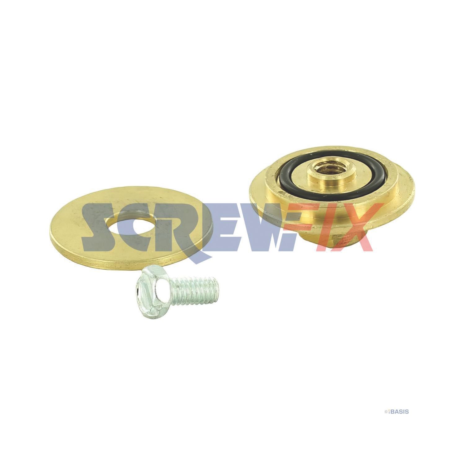Worcester Bosch 87161093640 PLUG BLANKING ASSEMBLY (586GW)
