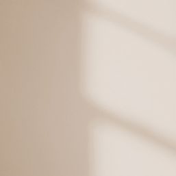 LickPro Max+ 5Ltr Taupe 03 Matt Emulsion  Paint