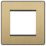 British General Evolve 2-Module Modular Faceplate Satin Brass