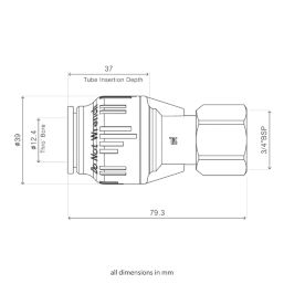 Flomasta  Plastic Push-Fit Straight Tap Connector 22mm x 3/4"