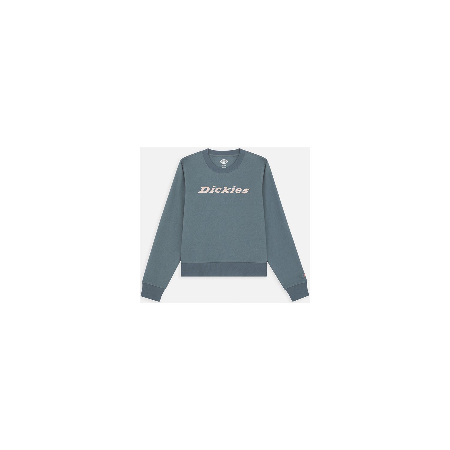 Dickies Heavyweight Wordmark Crew Womens Fleece Light Grey Size 10 (593XC)