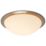 Spa Opie LED Bathroom Ceiling Light Satin Nickel 12W 900lm