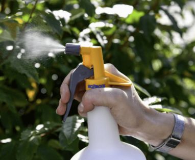 Hozelock Spray Bottles