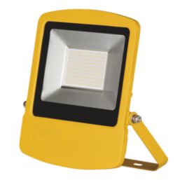 Brackenheath  LED Floodlight 100W 11,000lm 110V