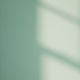 LickPro Max+ 2.5Ltr Green 08 Matt Emulsion  Paint