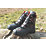 Oregon Yukon    Safety Chainsaw Boots Black Size 8