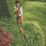 STIHL HLA 40 45cm 10.8V Li-Ion AS System  Cordless Long-Reach Hedge Trimmer - Bare
