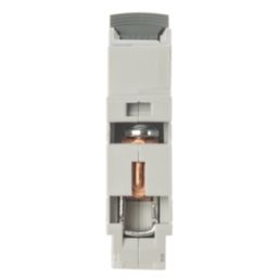 Lewden E10 25A SP B Curve  MCB