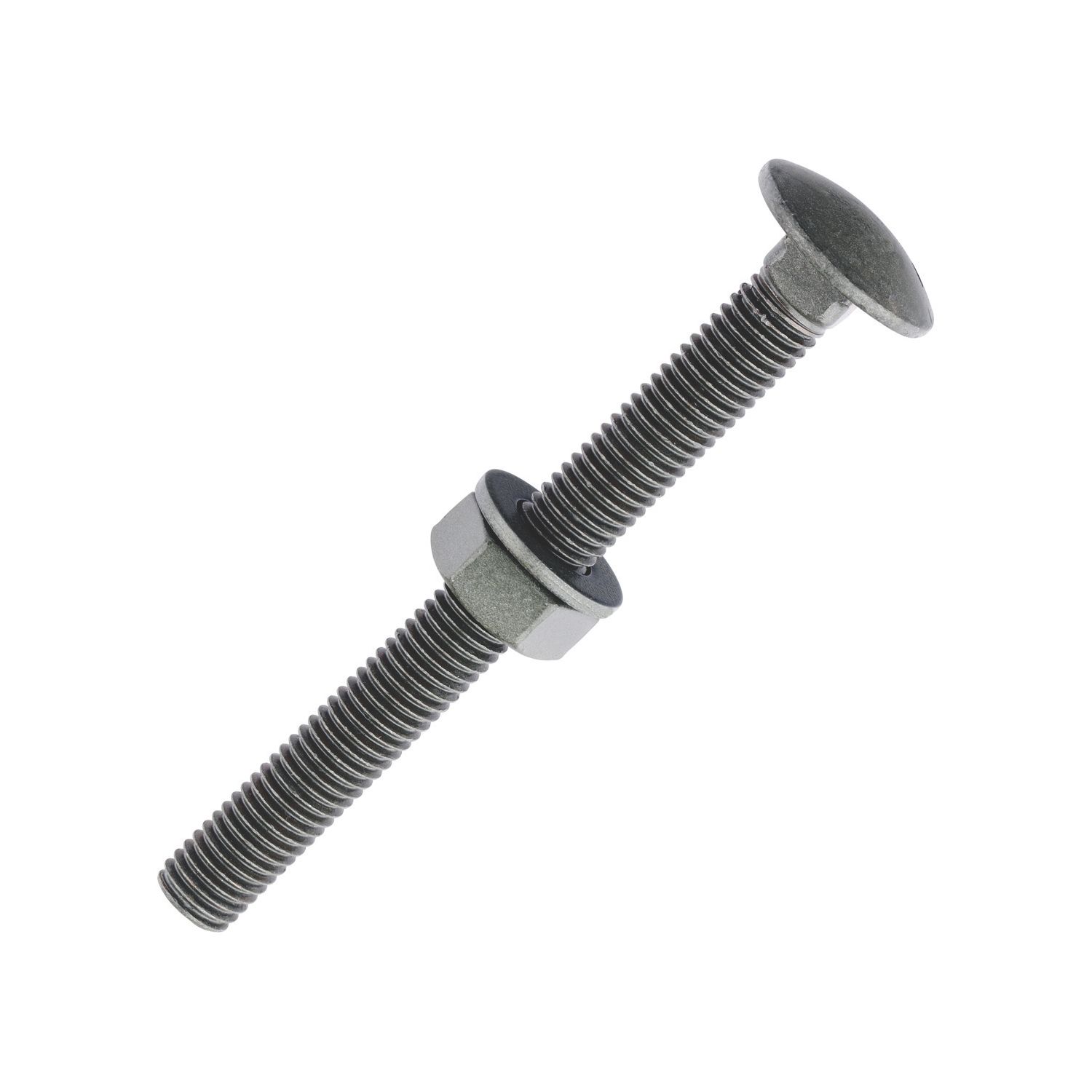 Timco Exterior Carriage Bolts Organic Green Coating M10 x 100mm 10 Pack (60924)