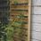 Forest  Softwood Rectangular Slatted Trellis 1' x 6' 6 Pack