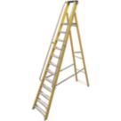 Lyte Fibreglass 3.16m 12 Step Platform Step Ladder With Handrail